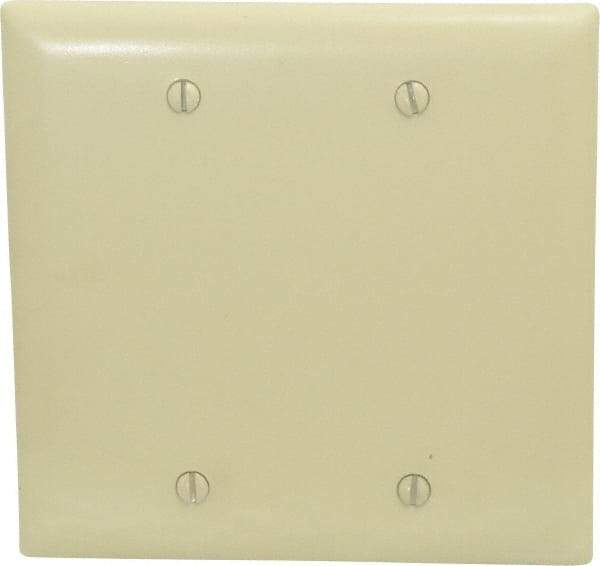 Pass & Seymour - 2 Gang, 4-3/4 Inch Long x 4-11/16 Inch Wide, Standard Blank Wall Plate - Blank, Ivory, Nylon - Americas Tooling