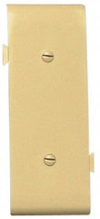 Pass & Seymour - 1 Gang, 4.9062 Inch Long x 1-13/16 Inch Wide, Blank Wall Plate - Blank, Ivory, Nylon - Americas Tooling