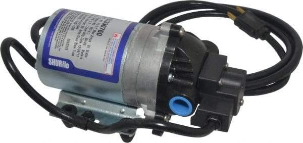 Pentair - 1/10 HP, 3/8 Inlet Size, 3/8 Outlet Size, Demand Switch, Diaphragm Spray Pump - 115 Input Voltage, Polypropylene, 1.40 Max GPM - Americas Tooling