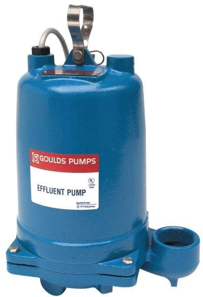 Goulds Pumps - 1/2 hp, 115 Amp Rating, 115 Volts, Capacitor Start Operation, Effluent Pump - 1 Phase, Cast Iron Housing - Americas Tooling