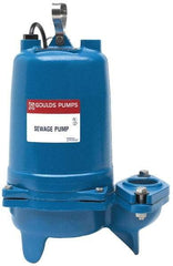 Goulds Pumps - 1/2 hp, 115 Amp Rating, 115 Volts, Nonautomatic Operation, Sewage Pump - 1 Phase, Cast Iron Housing - Americas Tooling