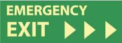 NMC - Emergency Exit, Plastic Exit Sign - 14" Wide x 5" High, Glow-in-the-Dark - Americas Tooling