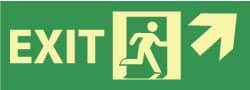 NMC - Exit, Plastic Exit Sign - 14" Wide x 5" High, Glow-in-the-Dark - Americas Tooling