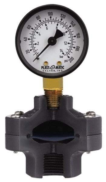 Plast-O-Matic - 30 Max Hg 2 Inch Dial Diameter, PVC Pressure Gauge Guard and Isolator - 3% Accuracy - Americas Tooling