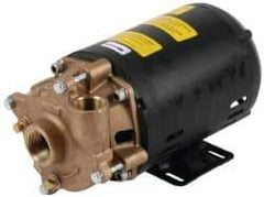 Pentair - 208-230/460 Volt, 3/4 hp, 1-1/4 Inlet, 72 GPM Bronze Utility Pump - 55 Max Head Pressure, 1 Inch Outlet - Americas Tooling