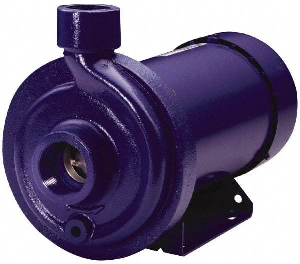 Goulds Pumps - ODP Motor, 208-230/460 Volt, 4.0/2.0 Amp, 3 Phase, 1 HP, 3500 RPM, Cast Iron Straight Pump - 1-1/4 Inch Inlet, 1 Inch Outlet, 44 Max Head psi, 316L Stainless Steel Impeller, Carbon Ceramic Buna Seal, 102 Ft. Shut Off - Americas Tooling