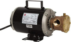 Jabsco - 1 Inch Inlet, 3/4 Hp, 23 Max GPM, Flexible Impeller Pump - 115/230 Volts, Nitrile Impeller - Americas Tooling