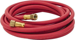 Coilhose Pneumatics - Paint Sprayer Hose with Fittings - Americas Tooling