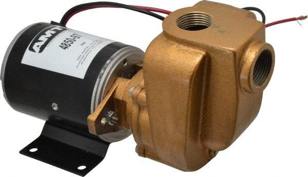 American Machine & Tool - 12 Volt, 1/8 hp, 3/4 Inlet, Bronze Utility Pump - 14 Max Head Pressure, 3/4 Inch Outlet - Americas Tooling