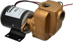 American Machine & Tool - 12 Volt, 1/8 hp, 3/4 Inlet, Bronze Utility Pump - 14 Max Head Pressure, 3/4 Inch Outlet - Americas Tooling