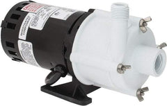 Little Giant Pumps - 1/30 HP, 14.6 Shut Off Feet, Magnetic Drive Pump - 3100 RPM, 1 Phase, 60 Hz - Americas Tooling