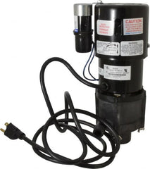 Little Giant Pumps - 1/10 HP, 10-1/2 Working PSI, 24.3 Shut Off Feet, Magnetic Drive Pump - 3000 RPM, 1 Phase, 60 Hz, 1.7 Amps - Americas Tooling