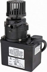 Little Giant Pumps - 1/35 HP, 12.8 Shut Off Feet, Magnetic Drive Pump - 1 Phase, 60 Hz - Americas Tooling