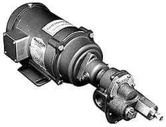 Pentair - 17-1/2 Inch Long, Close Coupled-Mount Gear Close Coupled Mount Gear Pump - ODP, 7 Max GPM - Americas Tooling