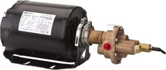 Pentair - 1/2 hp, 3/8 Port, -40 to 210°F Fluid Temp, Carbonator Gear Pump - Bronze, 3/8 Inlet Size, 4.25 GPM, NPT - Americas Tooling