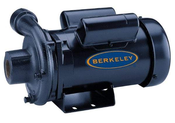 Berkeley - TEFC Motor, 208-230/460 Volt, 3 Phase, 2 HP, Cast Iron Straight Pump - 1-1/2 Inch Inlet, 1-1/4 Inch Outlet, 131 Max Head psi, Noryl Impeller - Americas Tooling