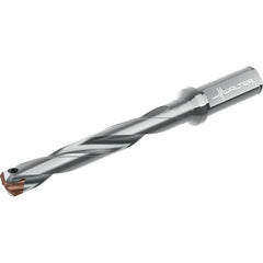 Walter - Replaceable-Tip Drills Series: D4140 Minimum Drill Diameter (mm): 24.00 - Americas Tooling