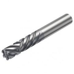 2P460-1270-NA 1630 12.7mm 6 FL Straight Center Cut w/Cylindrical Shank - Americas Tooling