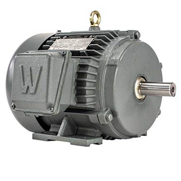 Worldwide Electric - Electric AC/DC Motors Motor Type: Premium Efficient Type of Enclosure: TEFC - Americas Tooling