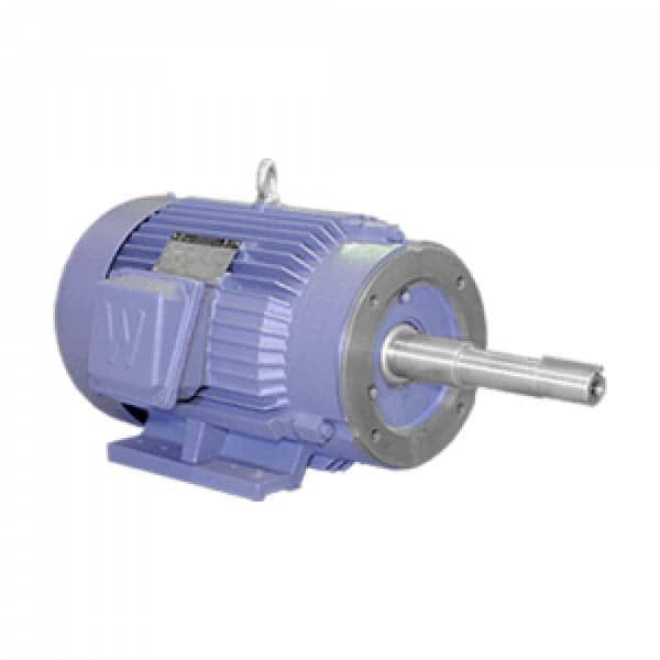 Worldwide Electric - Electric AC/DC Motors Motor Type: Premium Efficient Type of Enclosure: TEFC - Americas Tooling