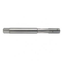 M5 x 0.8 Dia. - 6H - 4 FL - Carbide Semi-Bott Tap - Bright Finish-Coolant-Thru-FORM-C - Americas Tooling