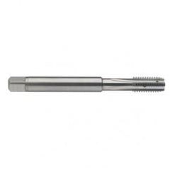 M8 x 1.25 Dia. - 6H - 4 FL - Carbide Semi-Bott Tap - Bright Finish-Coolant-Thru-FORM-C - Americas Tooling