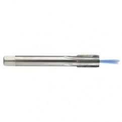 M16 x 2.0 Dia. - 6H - 4 FL - Carbide Semi-Bott Tap - Bright Finish-Coolant-Thru-FORM-C - Americas Tooling