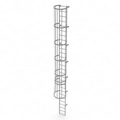 TRI-ARC - Rolling & Wall Mounted Ladders & Platforms Type: Fixed Ladder Style: Safety Cage - Americas Tooling