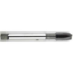 ‎5/16-18 Dia. - GH3 - 3 FL - Premium - HSS - Black Oxide - Plug - Spiral Point Tap Series/List #2088 - Americas Tooling