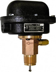 McDonnell & Miller - 300 psi, Brass Housing, Adjustable Paddle Flow Switch - 7.7 Flow Set Point, 35,004 Flow Point cc/min, 4.8 to 998 GPM, 120/240 Voltage, 1-1/4 Inch Thread Size - Americas Tooling