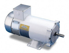 Leeson - 1/4 Max hp, 1,750 Max RPM, Electric AC DC Motor - 115 V Input, RS56C Frame - Americas Tooling