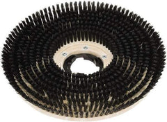 Clarke - 20" Diam Scrubbing Brush - 20" Machine, Black Pad, Polypropylene - Americas Tooling