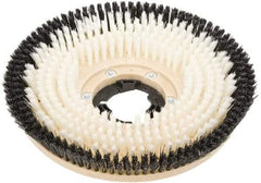 Clarke - 17" Diam Scrubbing Brush - 17" Machine, Black Pad, Nylon - Americas Tooling