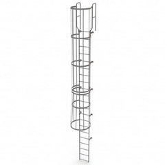 TRI-ARC - Rolling & Wall Mounted Ladders & Platforms Type: Fixed Ladder Style: Safety Cage - Americas Tooling