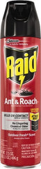 Raid - Pack of (12) 17.5-oz Aerosol Cans Ant, Roach, Silverfish, Spider & Waterbug Killer - Americas Tooling