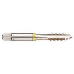 44028 2B 3-Flute Cobalt Yellow Ring Spiral Point Plug Tap-Bright - Americas Tooling