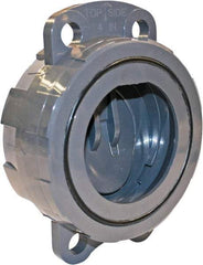 Hayward - 2" PVC Check Valve - Wafer Check Valve, Wafer, 150 WOG - Americas Tooling