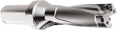 Seco - 45.21mm Max Drill Depth, 3xD, 15.09mm Diam, Indexable Insert Drill - 2 Inserts, 1" Shank Diam, Straight Shank - Americas Tooling