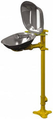 Bradley - Pedestal Mount, Stainless Steel Bowl, Eyewash Station - Americas Tooling