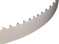 Starrett - 2 to 3 TPI, 12' Long x 1-1/4" Wide x 0.042" Thick, Welded Band Saw Blade - Bi-Metal, Toothed Edge - Americas Tooling