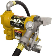 Tuthill - 13 GPM, 3/4" Hose Diam, DC Tank Pump with Manual Nozzle - 1" Inlet, 3/4" Outlet, 12 Volts, 10' Hose Length, 1/4 hp - Americas Tooling