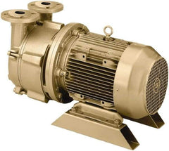 DEKKER Vacuum Technologies - 29 Hg Max, 2-1/2" ANSI 150# RF Flanged Inlet & Discharge, Single Stage Liquid Ring Vaccum Pump - 150 CFM, 10 hp, Cast Iron Housing, 316 Stainless Steel Impeller, 1,750 RPM, 230/460 Volts - Americas Tooling