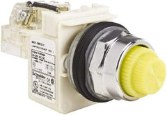 Schneider Electric - 120 VAC Yellow Lens LED Pilot Light - Round Lens, Screw Clamp Connector - Americas Tooling