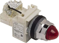 Schneider Electric - 120 VAC Red Lens Indicating Light - Screw Clamp Connector - Americas Tooling