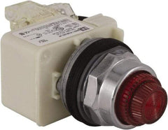 Schneider Electric - 24 V Red Lens LED Press-to-Test Indicating Light - Octagonal Lens, Screw Clamp Connector - Americas Tooling