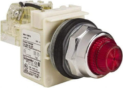 Schneider Electric - 24-28 VAC/VDC Red Lens Indicating Light - Screw Clamp Connector - Americas Tooling