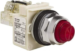 Schneider Electric - 120 VAC Red Lens Indicating Light - Screw Clamp Connector - Americas Tooling