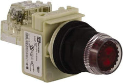 Schneider Electric - 30mm Mount Hole, Extended Straight, Pushbutton Switch with Contact Block - Red Pushbutton, Momentary (MO) - Americas Tooling