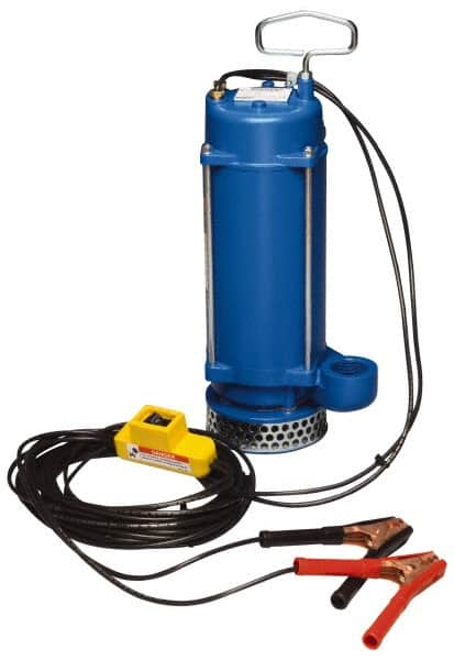 Warren Rupp - 1/3 hp, 12 VDC Amp Rating, 12 VDC Volts, Nonautomatic Operation, Dewatering Pump - Aluminum Housing - Americas Tooling