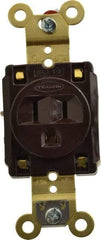 Hubbell Wiring Device-Kellems - 125 VAC, 15 Amp, 5-15R NEMA Configuration, Brown, Specification Grade, Self Grounding Single Receptacle - 1 Phase, 2 Poles, 3 Wire, Flush Mount, Corrosion, Heat and Impact Resistant - Americas Tooling